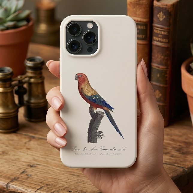 Aratinga-sol, Aratinga solstitialis (Sun Parakeet Male, Aratinga Solstitialis. iPhone Case)