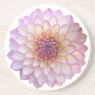 Arbatax Dahlia, Porta copos de Sandstone com Flor