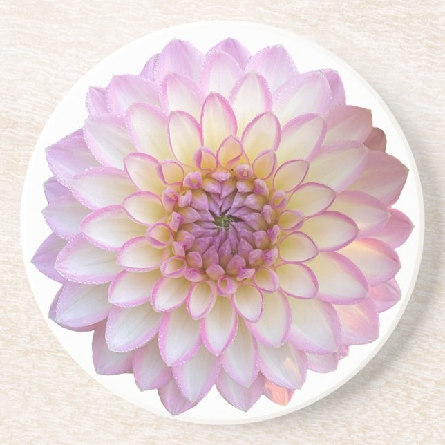 Arbatax Dahlia, Porta copos de Sandstone com Flor  (Frente)