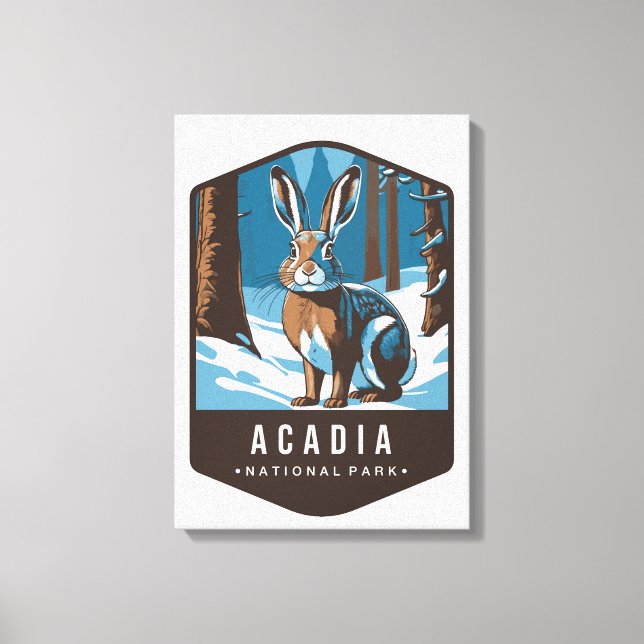 ARCDIA NATIONAL PARK Stretched Canvas Print (Frente)