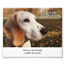 Área de impressão de 4 x 6 fotos para adicionar a 