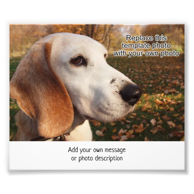 Área de impressão de 4 x 6 fotos para adicionar a  (Frente)