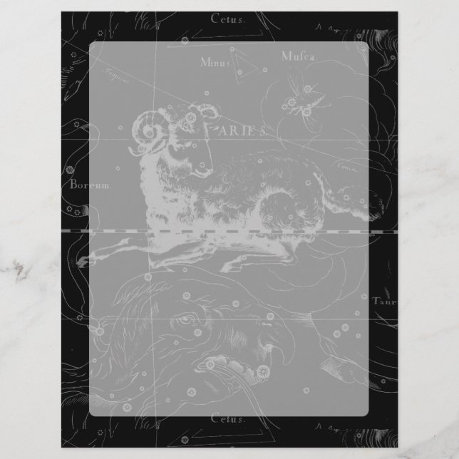 Aries Constulation Hevelius Vintage em Preto (Frente)