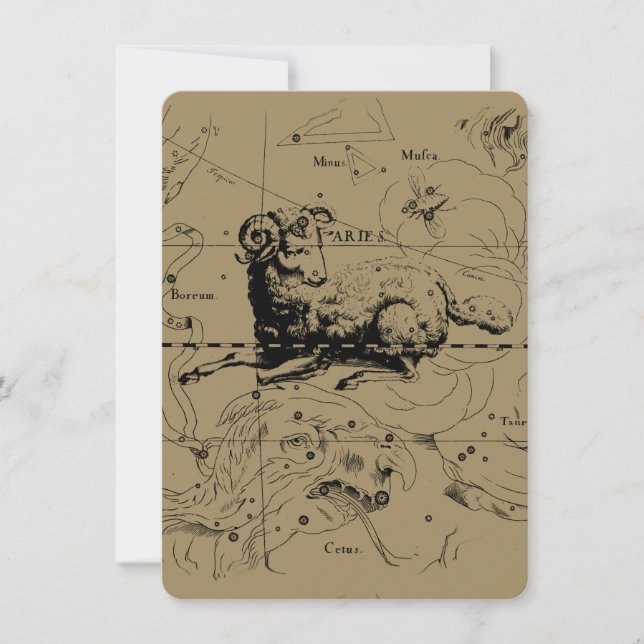 Aries Constulation Map Engrave por Hevelius (Frente)