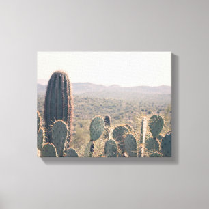 Arizona Cactos Arte Canvas