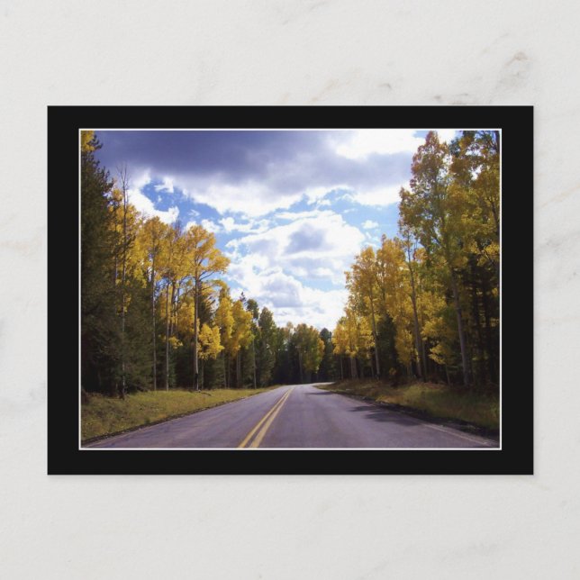 Arizona Flagstaff no Cartão postal de outono (Frente)