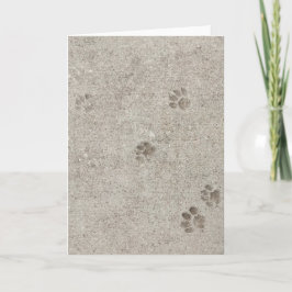 Arqueologia Urbana, Pawprint nº 2 Cartão de Saudaç