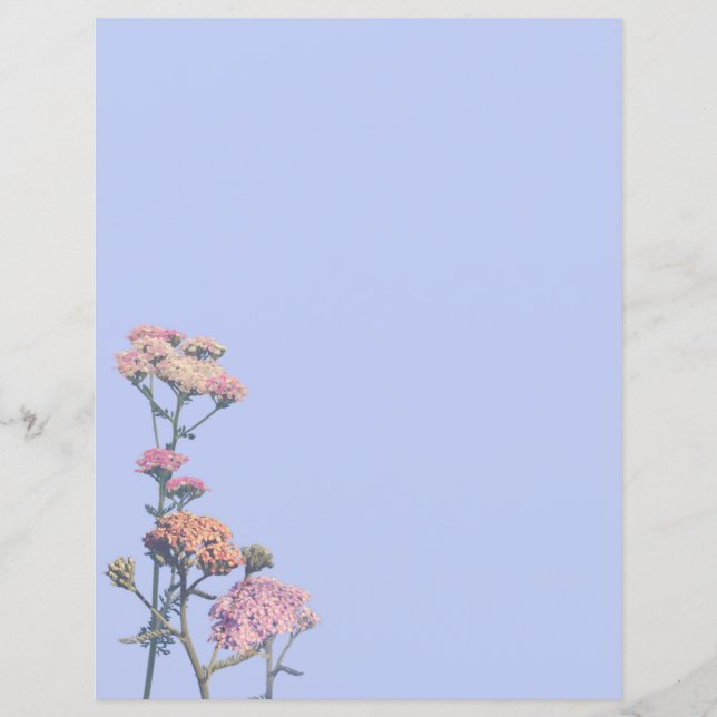 Arrancas cor-de-rosa sobre fundo roxo (Frente)