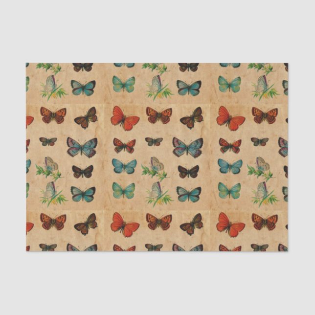 Arranjo de Desacoplamento de Papel Armazenado pela (Frente )