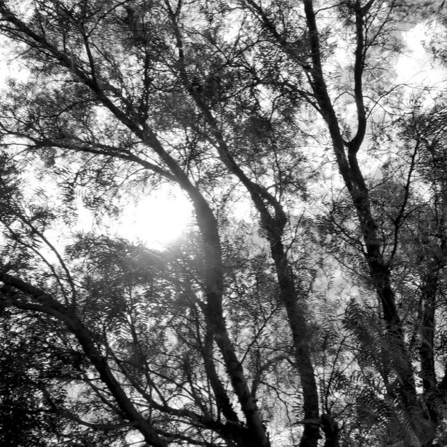 ART e DESIGN CHAVEIRO (ART AND DESIGN ECO STYLE )