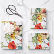 Art Nouveau Garden Nasturtium Flowers