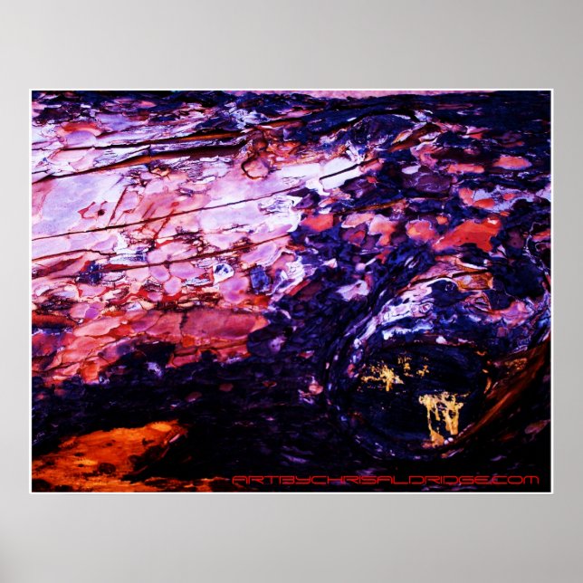 ARTBYCHRISALDRIDGE.COM poster nº 1 (Frente)