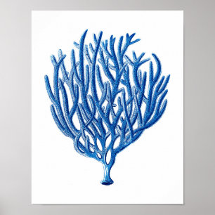 Arte coral da parede da praia do impressão #1 do