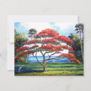 Arte da Árvore Real Poinciana