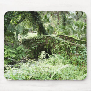 Arte da foto do mousepad do passadiço da floresta