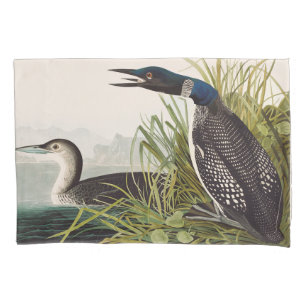 Arte da Natureza com Ave Mergulhão-do-commons Vint