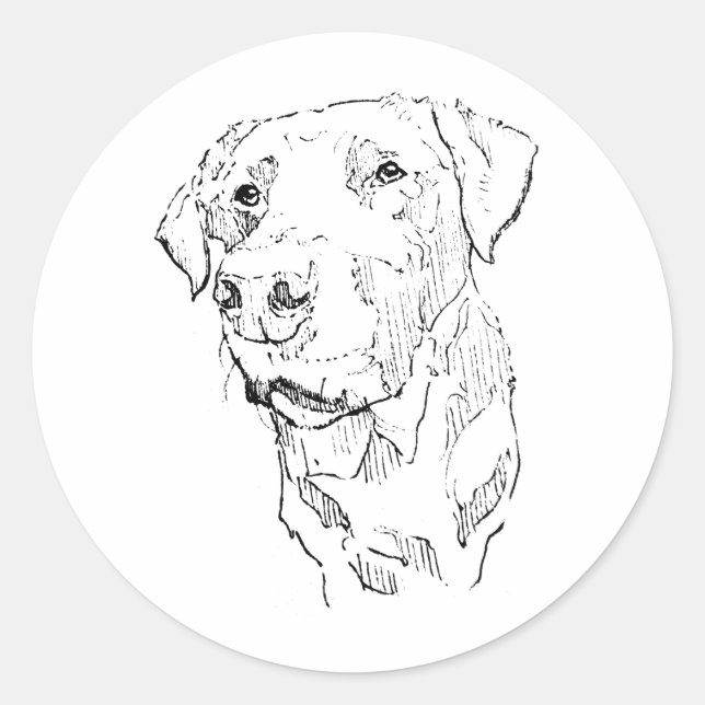 Arte de Adesivo do Labrador Retriever (Frente)