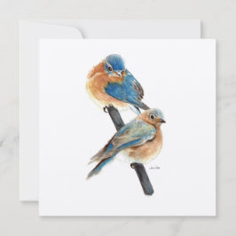 Arte de Aquarela do Casal Bluebird