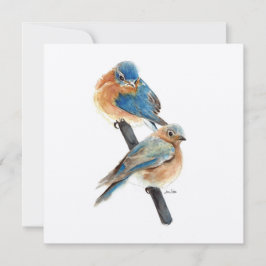 Arte de Aquarela do Casal Bluebird