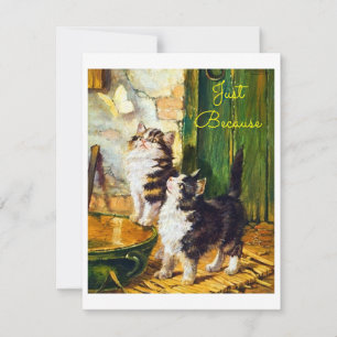 Arte de Borboleta Gatinhos Curiosos Vintage Só Por