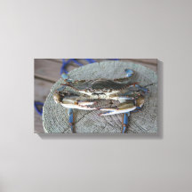 Arte de Canvas da Baía de Chesapeake Blue Crab