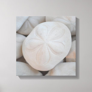 Arte de Canvas de Dólares de Areia