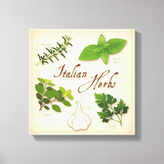Arte de Canvas de Plantas Italianas (Frente)