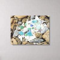 Arte de Canvas do Jardim Driftwood Rock Seashells