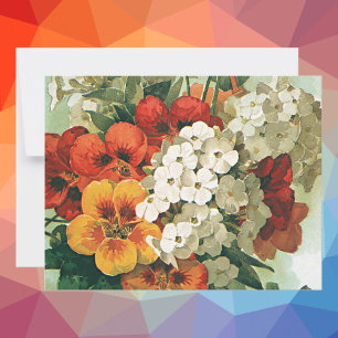 Arte de capa de catálogo de sementes da Eastman vi