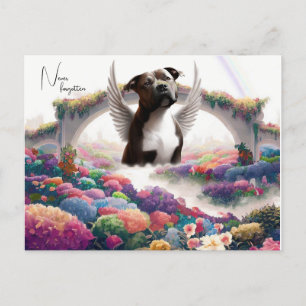 Arte de cartão postal com simpatia da Rainbow Brid