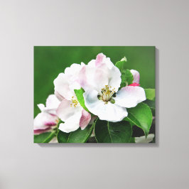 Arte de Muro de Primavera de Canvas de Árvore de M