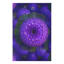 Arte De Pão Roxo Vibrante