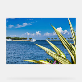 Arte de Parede à Beira-Mar Vista do Oceano Tropica