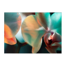 Arte de Parede Acrílica Orquídea Noturna
