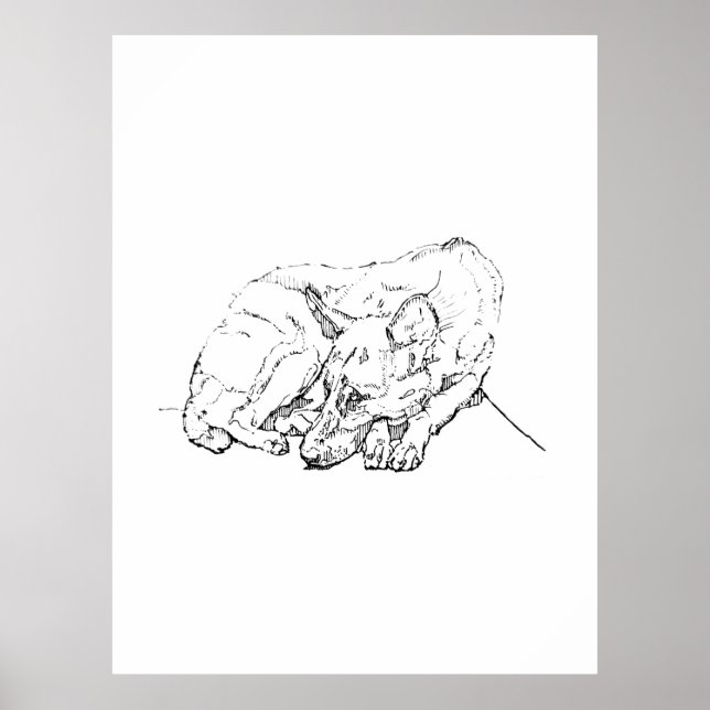 Arte de Parede de Cachorro Fofo, Impressão de Arte (Frente)