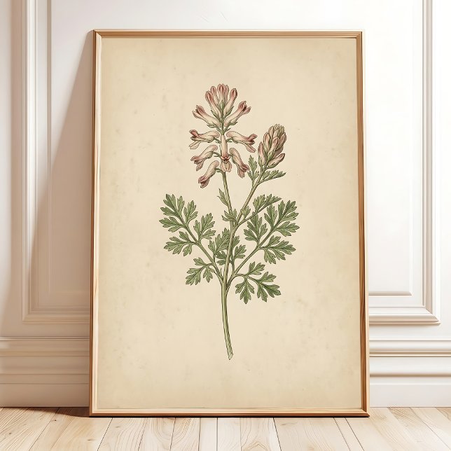 Arte de Parede de Impressão Botânica Vintage Estil (Criador carregado)