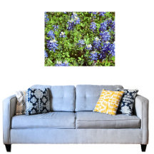 Arte de Parede em Acrílico Bluebonnets do Texas Hi