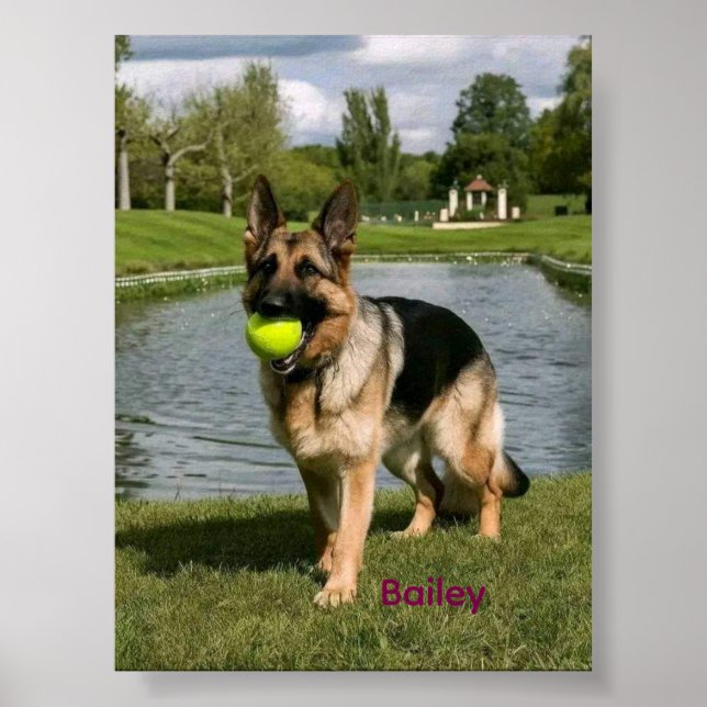 Arte de Parede para Banheiro de Cachorro, Poster d (Frente)