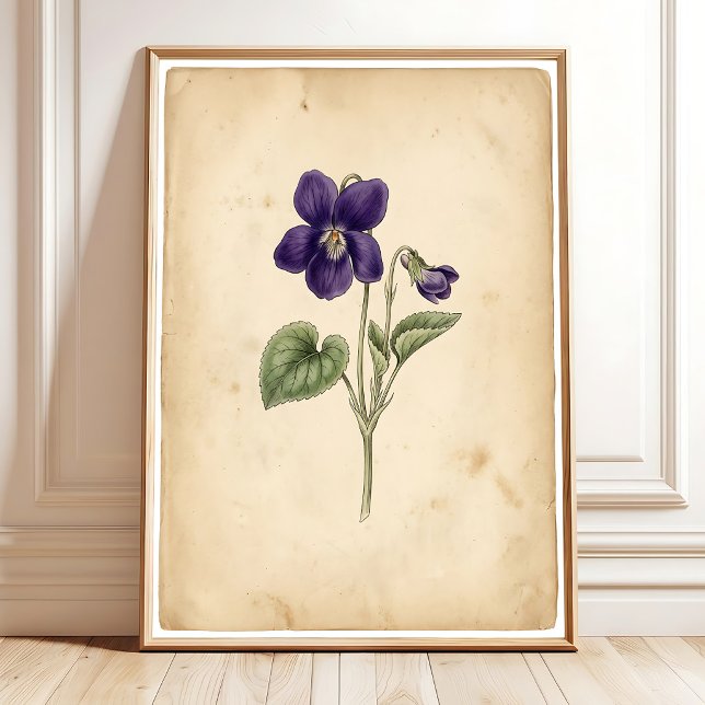 Arte de Parede Violeta Vintage Impressão Enquadrad (Criador carregado)