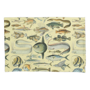 Arte De Pesca Científica Dos Peixes Vintage