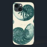 Arte de Seashell Vermelha e Verde<br><div class="desc">O artista Denis Diderot é talentoso e conhecido por suas imagens da vida no mar excelente. Nesta imagem vívida, ele captura duas conchas vermelhas e verdes, estaladas no seu estilo mais natural. Conchas são frequentemente fissuradas como estas duas conchas e em um tom de aparência sépia. Pegue seu produto de...</div>