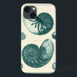Arte de Seashell Vermelha e Verde<br><div class="desc">O artista Denis Diderot é talentoso e conhecido por suas imagens da vida no mar excelente. Nesta imagem vívida, ele captura dois conchas vermelhas e verdes estaladas no seu estilo mais natural. Conchas são muitas vezes quebradas como esses dois conchas e em um tom de aparência sépia. Pegue seu produto...</div>