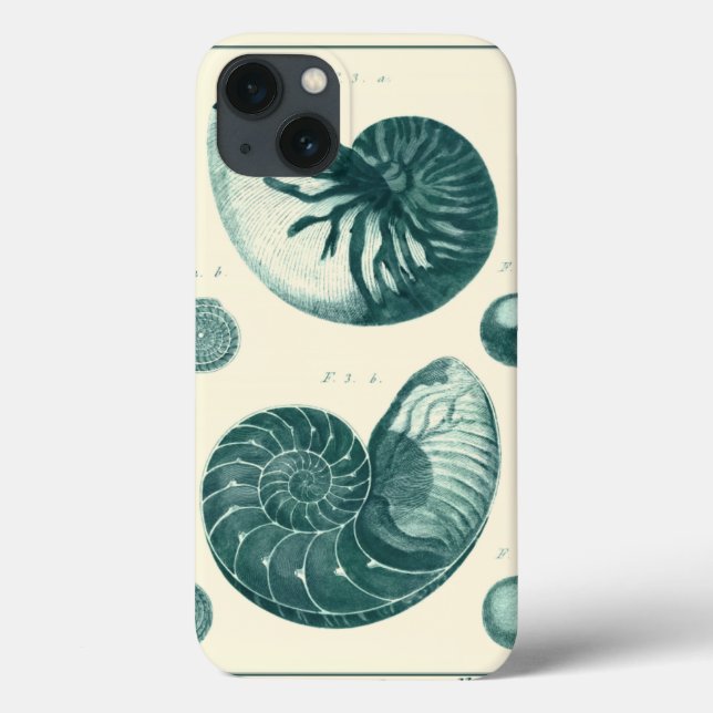 Arte de Seashell Vermelha e Verde (Verso)