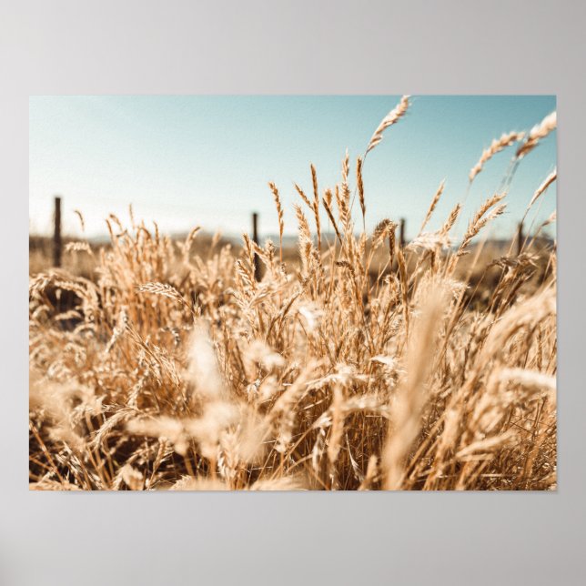 Arte & Decoração de Parede > Posters & Impressões (Frente)