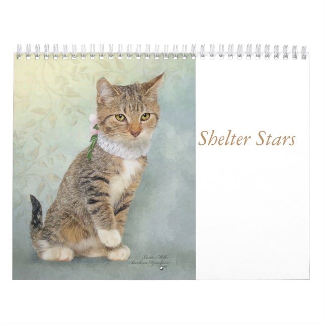 Arte do calendário que caracteriza animais do (Capa)