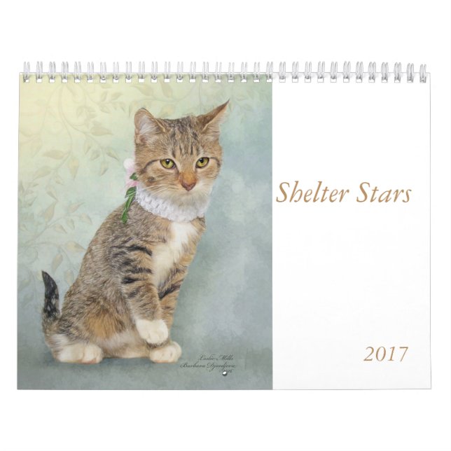 Arte do calendário que caracteriza animais do (Capa)