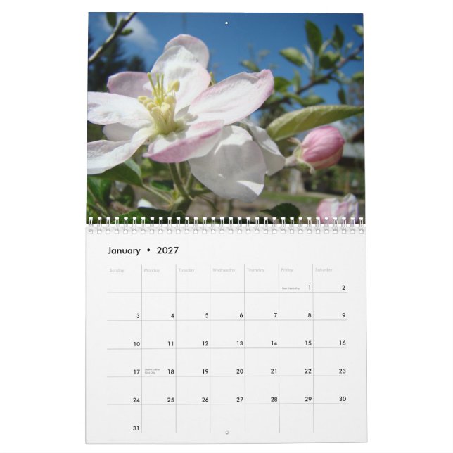 Arte do primavera do calendário das FLORES de (Jan 2027)