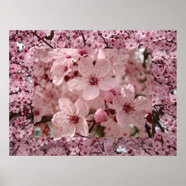 Arte Flor de Arte Rosa Impressões de Árvore (Frente)