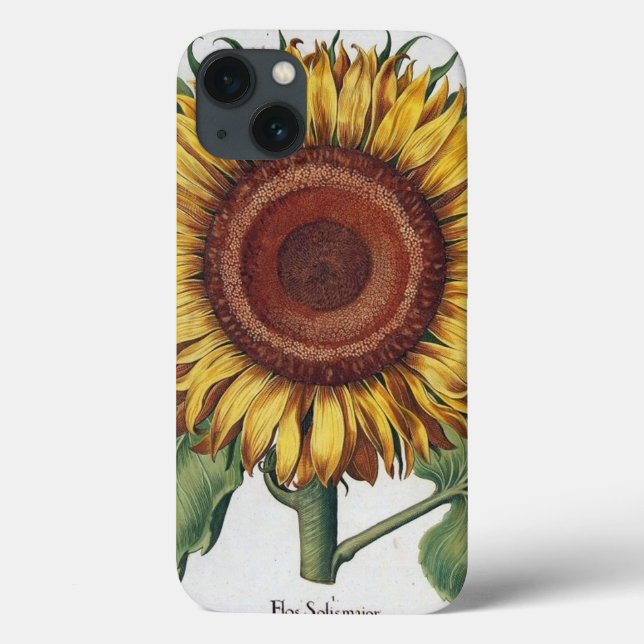 Arte Floral de Girassol Vintage Damask (Verso)