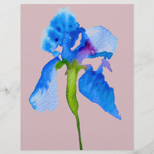 Arte floral moderna do watercolour da íris azul